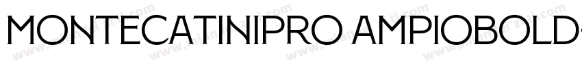 MontecatiniPro AmpioBold字体转换